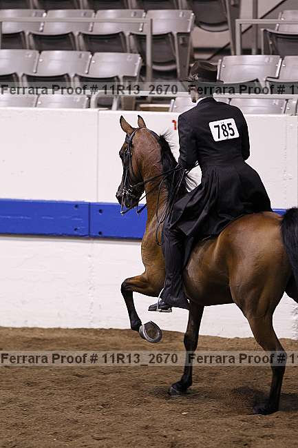 Proof 11r13_2670