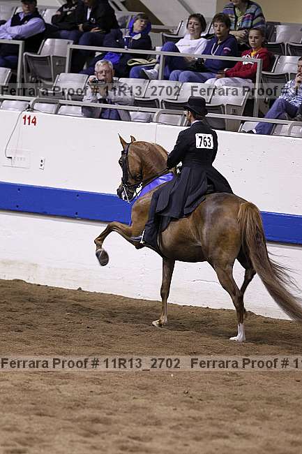 Proof 11r13_2702