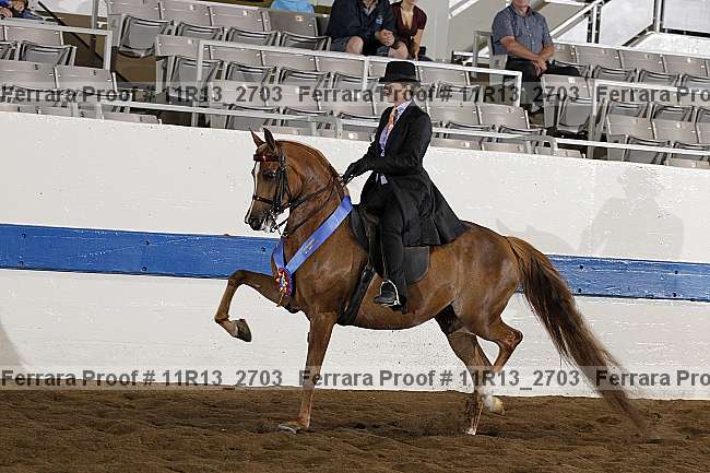 Proof 11r13_2703