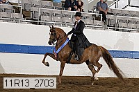 11r13_2703 proof