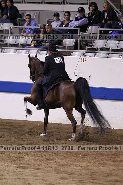 Proof 11r13_2709