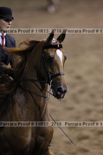 Proof 11r13_2718