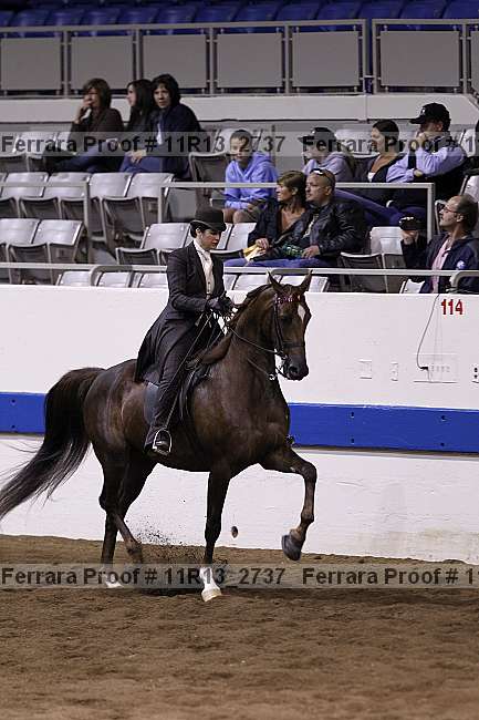 Proof 11r13_2737