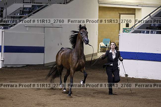 Proof 11r13_2760