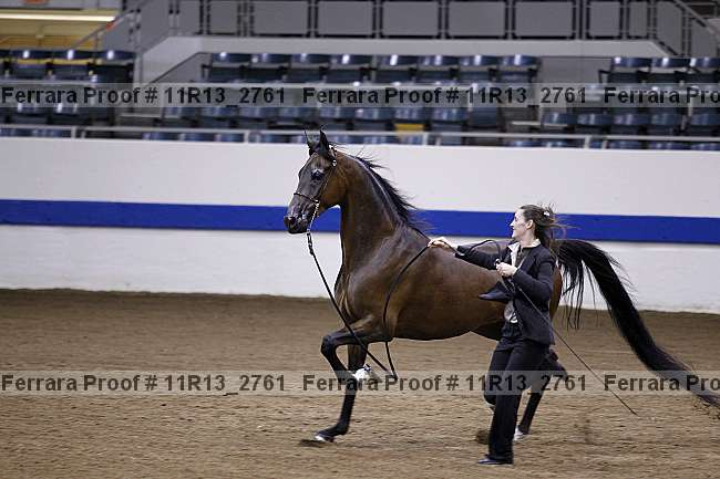 Proof 11r13_2761