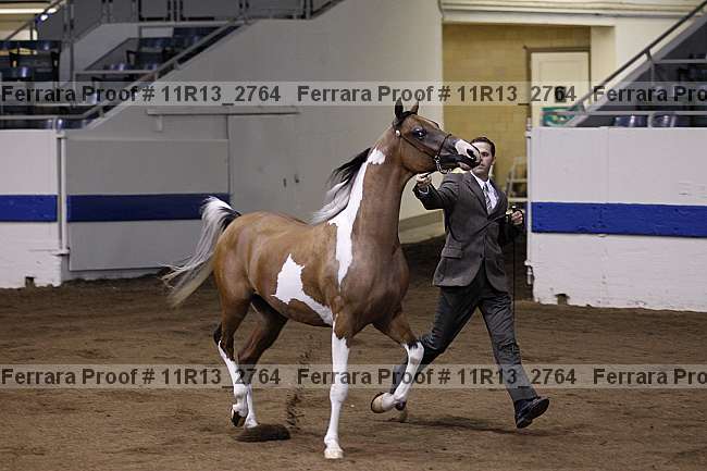 Proof 11r13_2764