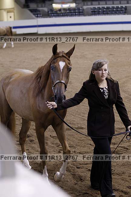 Proof 11r13_2767