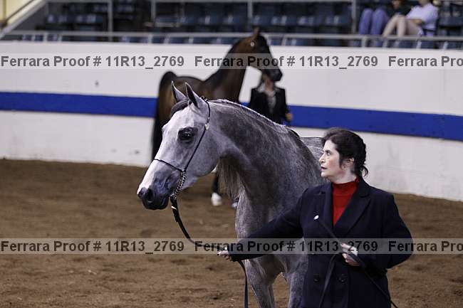 Proof 11r13_2769