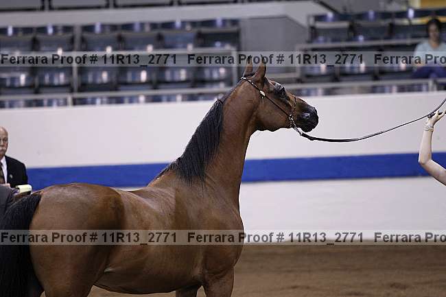 Proof 11r13_2771