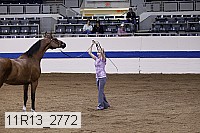 11r13_2772 proof