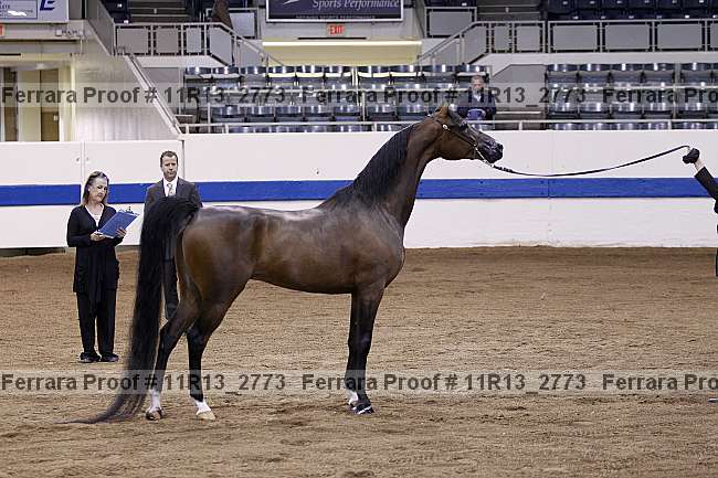 Proof 11r13_2773