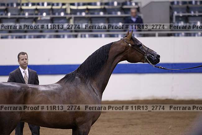 Proof 11r13_2774