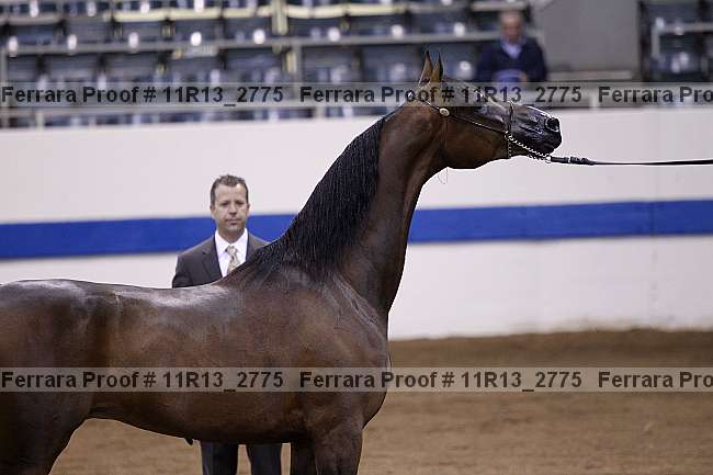 Proof 11r13_2775