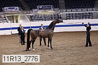 11r13_2776 proof