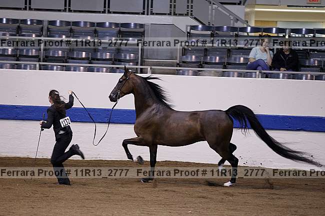 Proof 11r13_2777