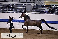 11r13_2777 proof