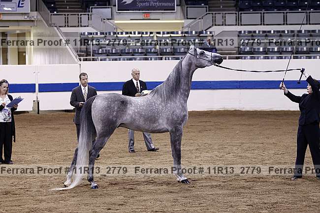 Proof 11r13_2779