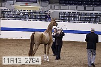 11r13_2784 proof