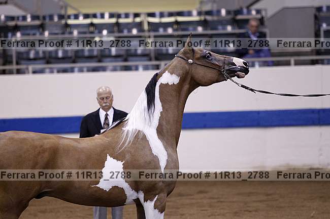 Proof 11r13_2788