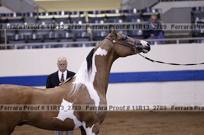 Proof 11r13_2789