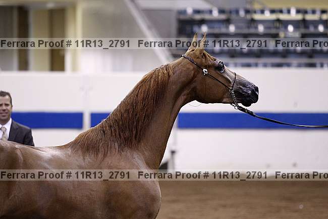 Proof 11r13_2791