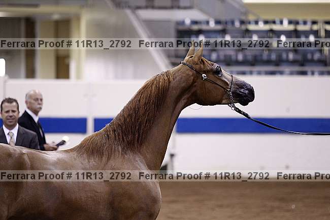 Proof 11r13_2792