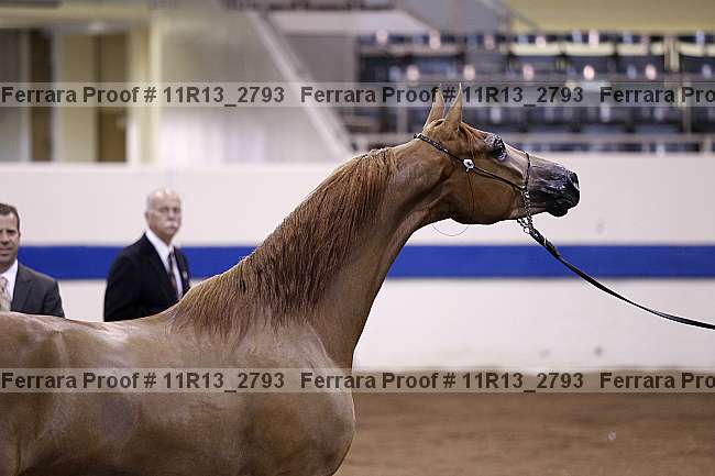 Proof 11r13_2793