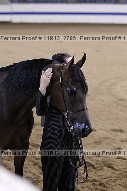 Proof 11r13_2795