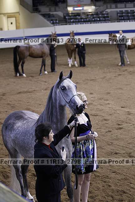 Proof 11r13_2798