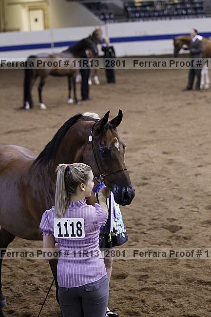 Proof 11r13_2801