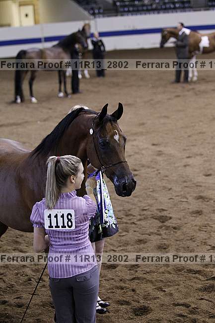 Proof 11r13_2802