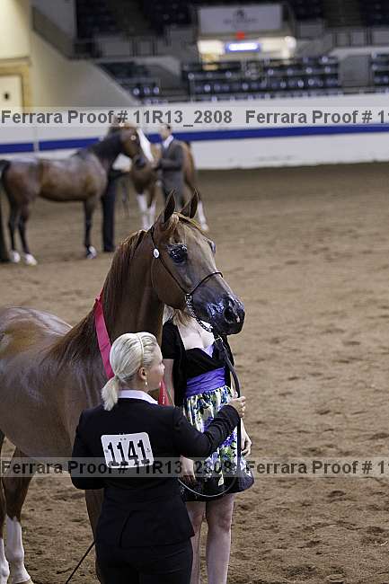 Proof 11r13_2808