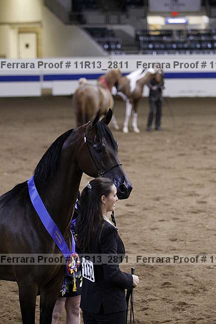Proof 11r13_2811