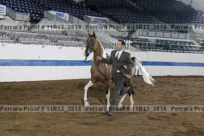 Proof 11r13_2818