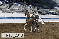 11r13_2818 proof