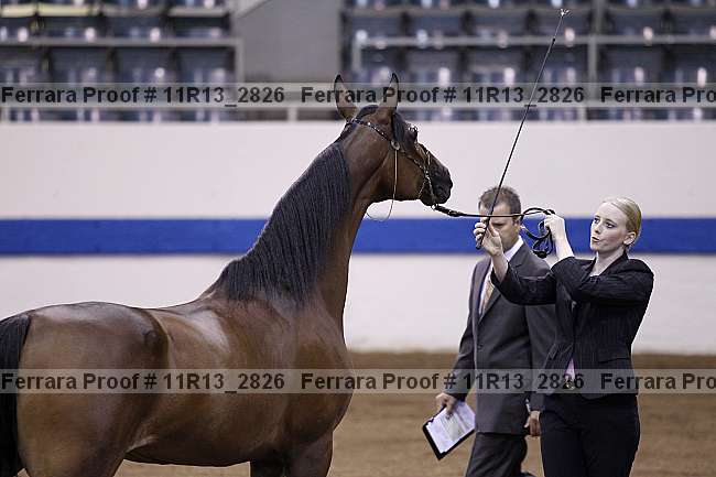 Proof 11r13_2826