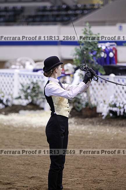 Proof 11r13_2849