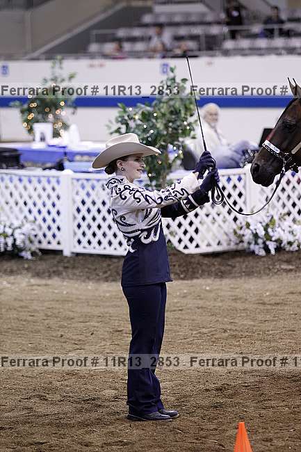Proof 11r13_2853