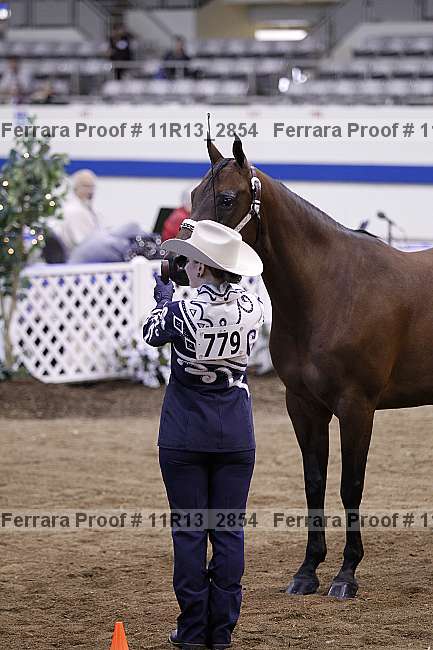 Proof 11r13_2854