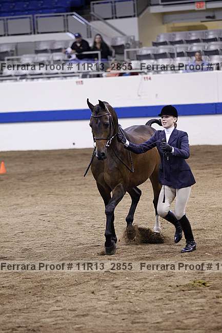 Proof 11r13_2855
