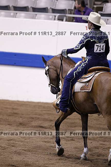 Proof 11r13_2887