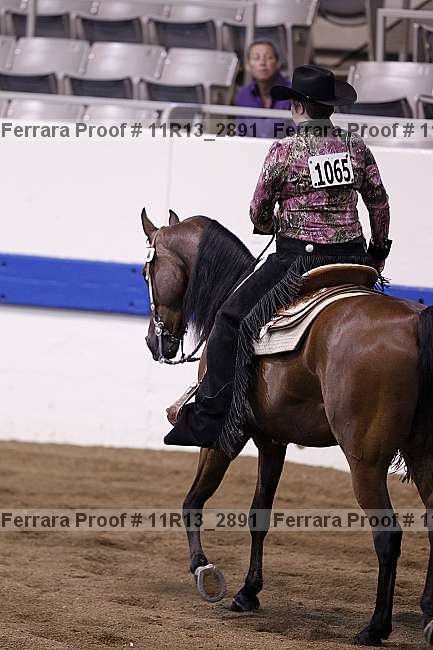 Proof 11r13_2891