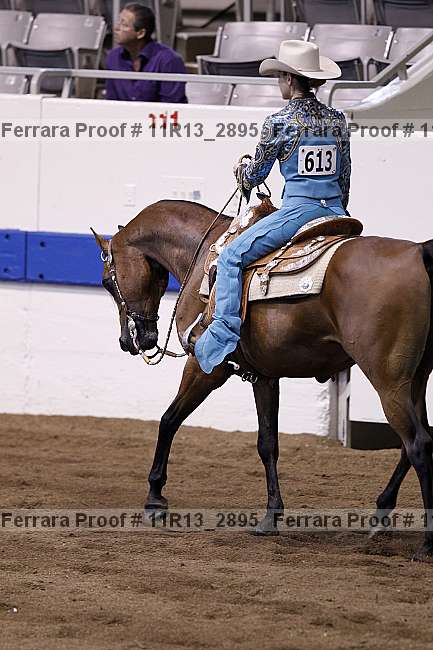 Proof 11r13_2895