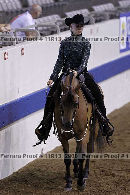 Proof 11r13_2900