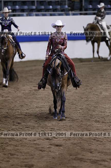 Proof 11r13_2901