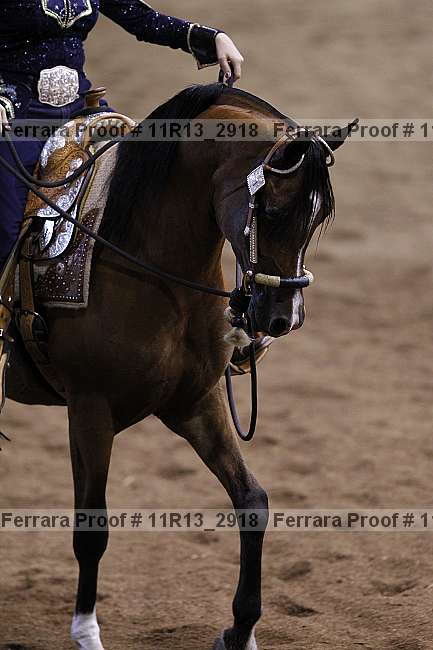Proof 11r13_2918