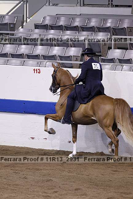 Proof 11r13_2931