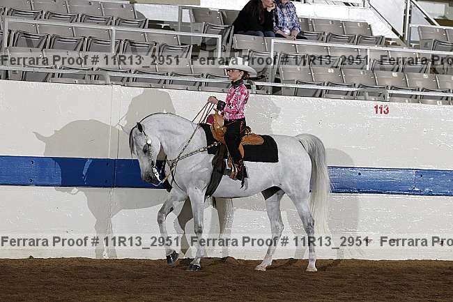 Proof 11r13_2951