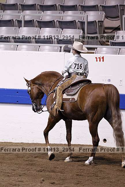 Proof 11r13_2954
