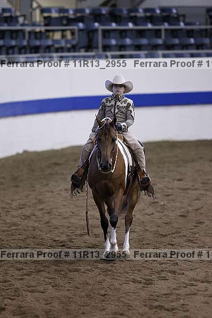 Proof 11r13_2955